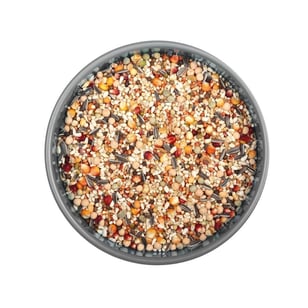 Güvercin Dörtmevsim Mix Yemi 5 Kg