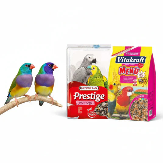 Kuş - Papağan- Tavşan Yemi