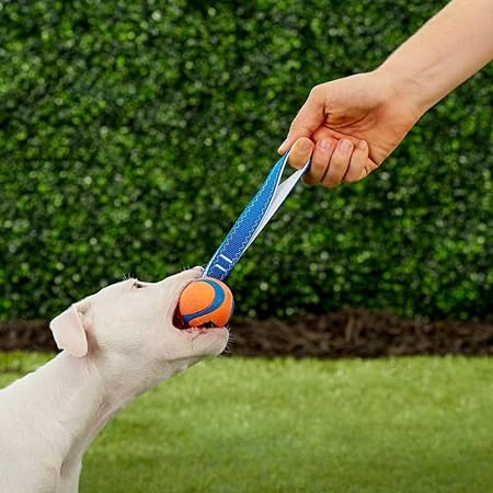 Chuckit Köpek Çekiştirme Topu Chuckıt! Ultra Tug