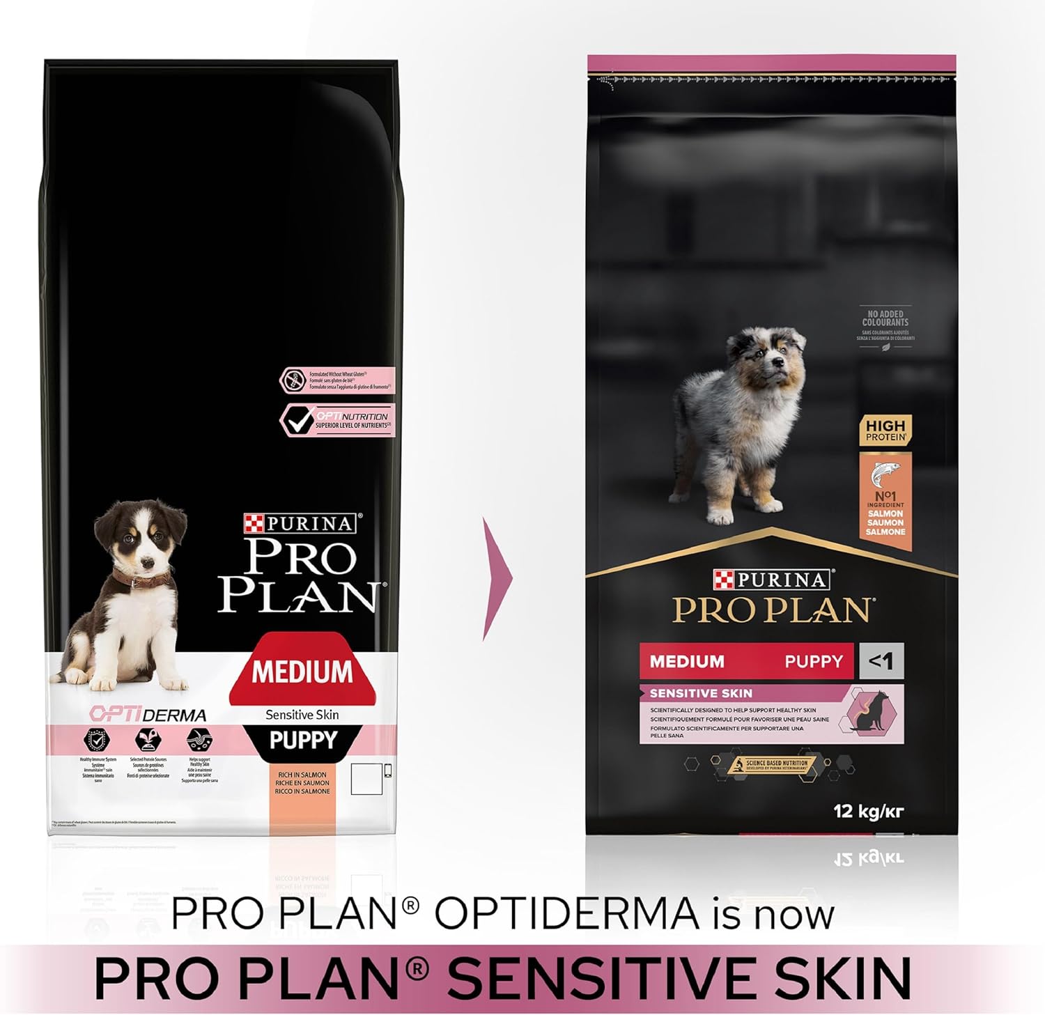 Pro Plan Puppy Somonlu Orta Irk Hassas Derili Yavru Köpek Maması 12kg