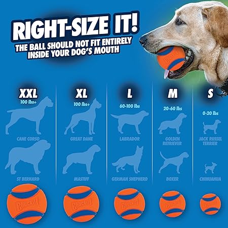 Chuckit! Ultra Ball Köpek Oyun Topu